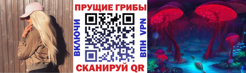 Купить  Мамоново  Галлюциногенные грибы прущие грибы 