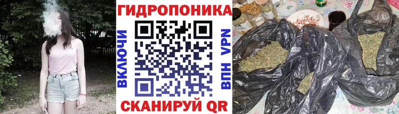 Купить закладки  Мамоново  Конопля OG Kush 